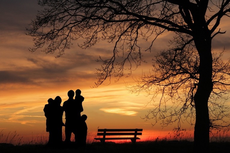 Chiropractic Care for the Whole Family: Why It’s Essential for All Ages